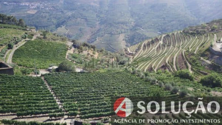 Terreno para Venda em Souto Maior Foto 2