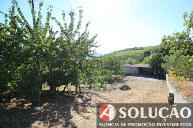 Terreno para Venda em Souto Maior Foto 5