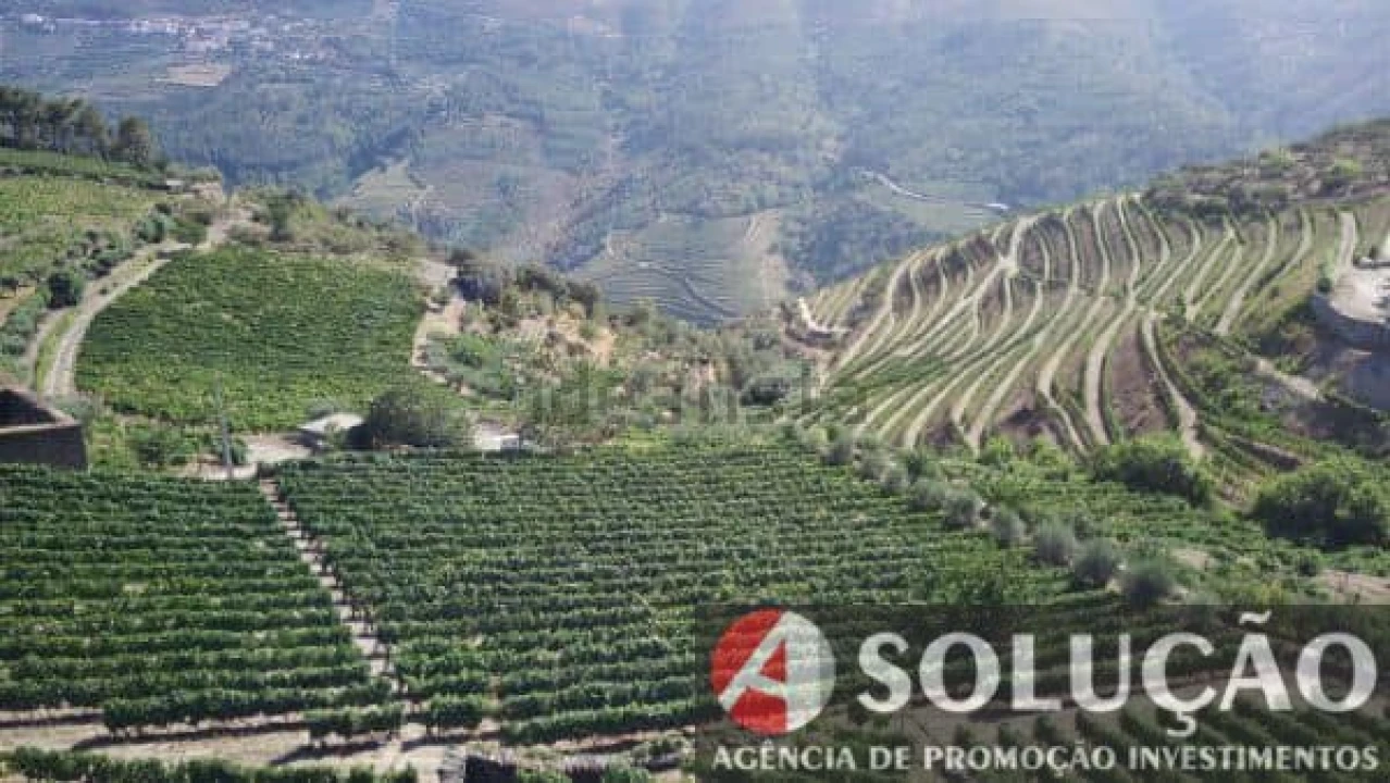 Terreno para Venda em Souto Maior Foto 2