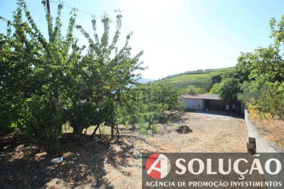 Terreno para Venda em Souto Maior Foto 5