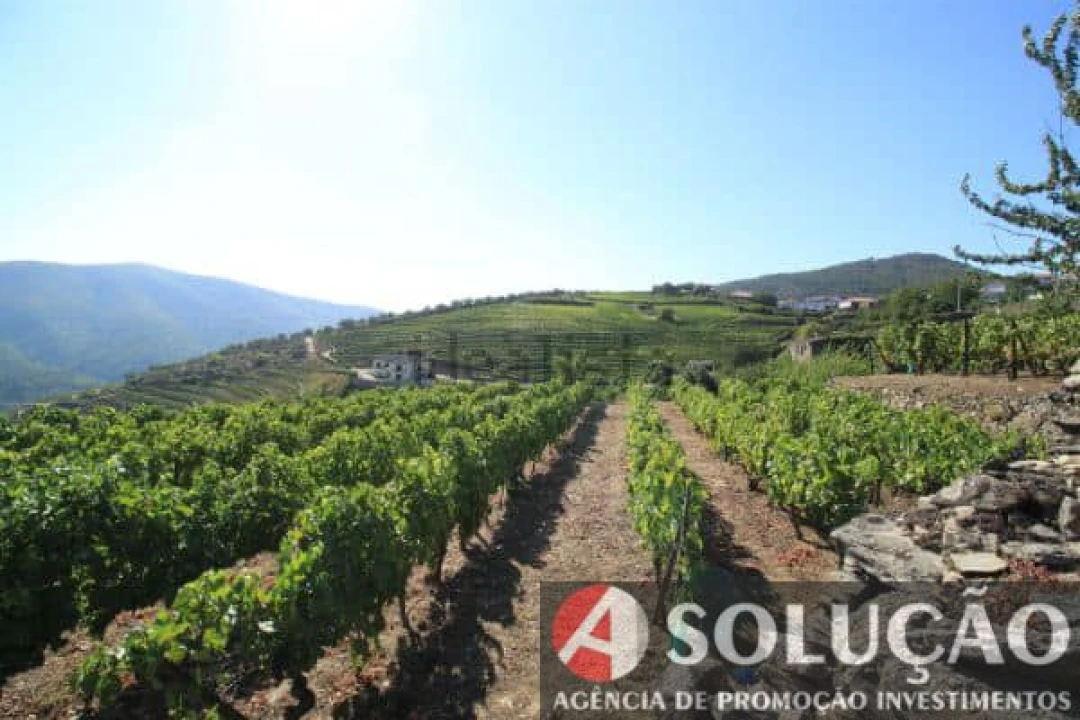 Terreno para Venda em Souto Maior Foto 6