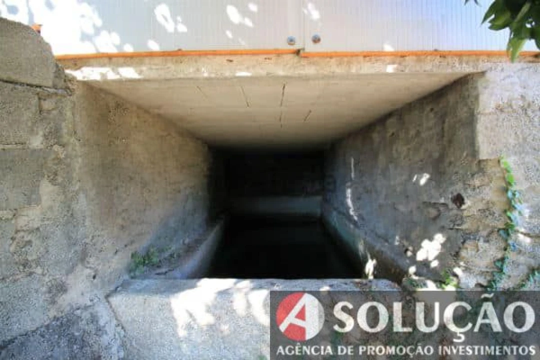 Terreno para Venda em Souto Maior Foto 8