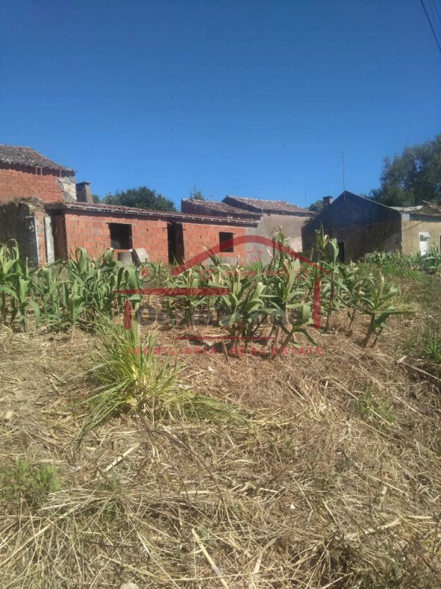 Moradia T2 para Venda em Roliça Foto 5