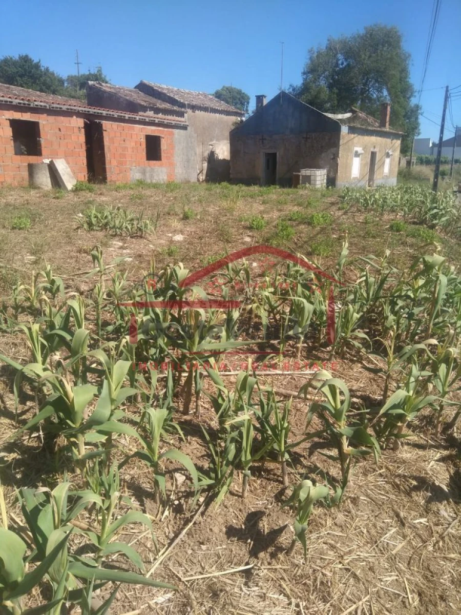 Moradia T2 para Venda em Roliça Foto 6