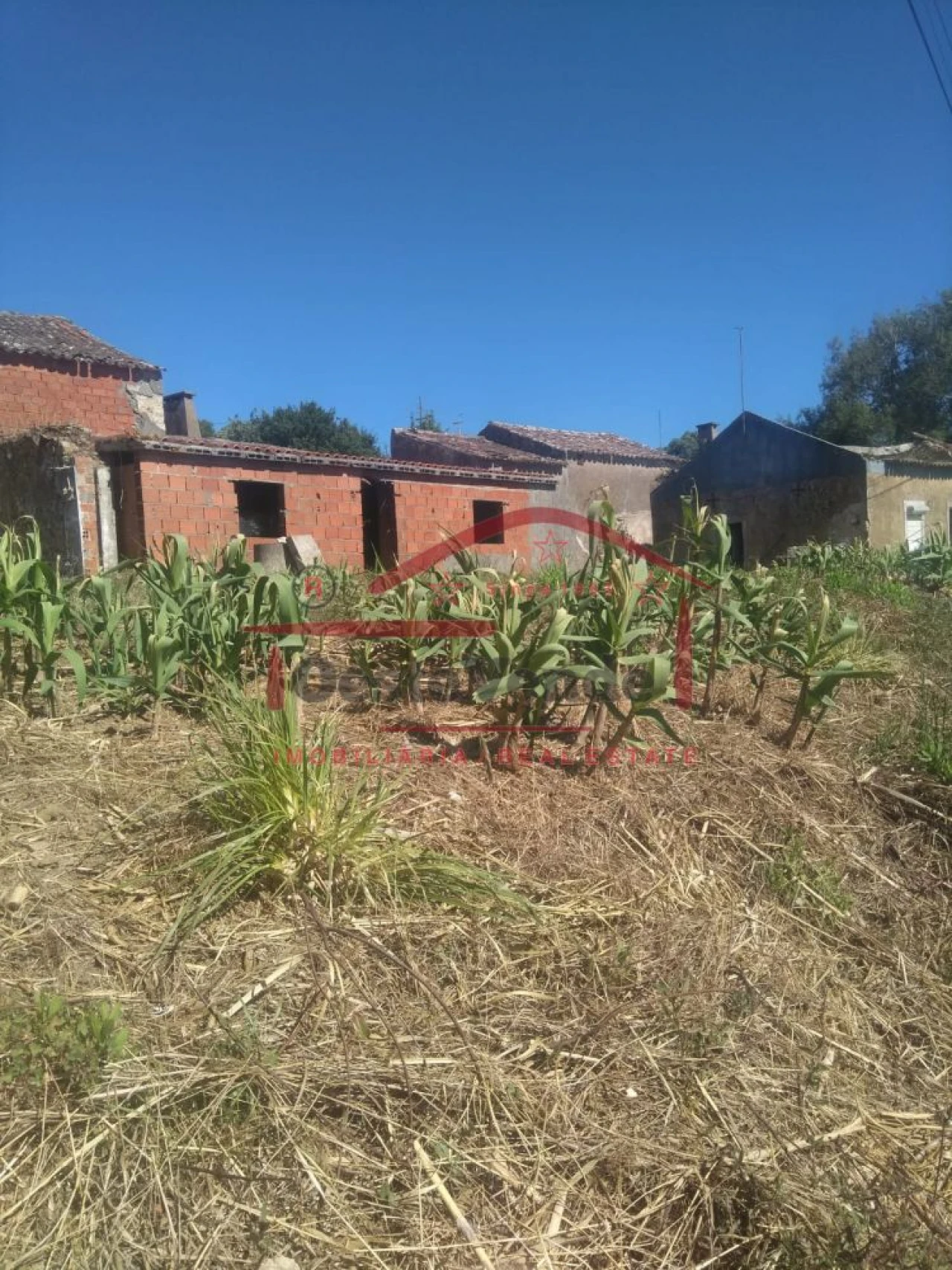 Moradia T2 para Venda em Roliça Foto 5