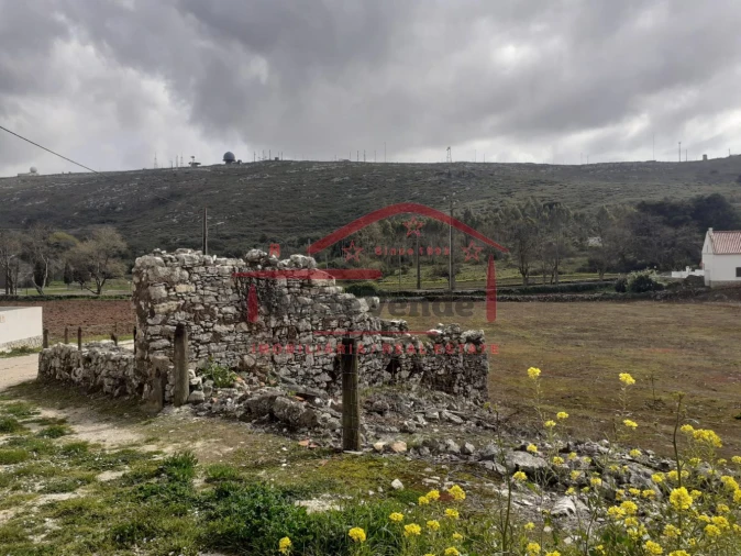 Terreno para Venda em Peral Foto 5