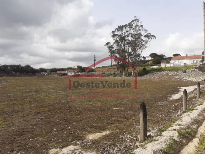 Terreno para Venda em Peral Foto 13