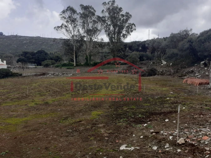 Terreno para Venda em Peral Foto 4