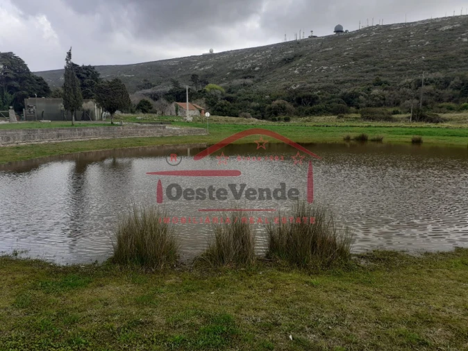 Terreno para Venda em Peral Foto 17