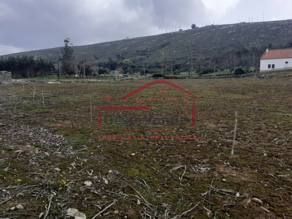 Terreno para Venda em Peral Foto 3