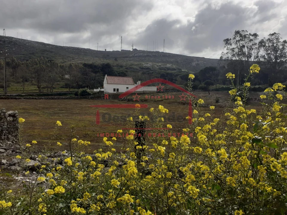 Terreno para Venda em Peral Foto 1