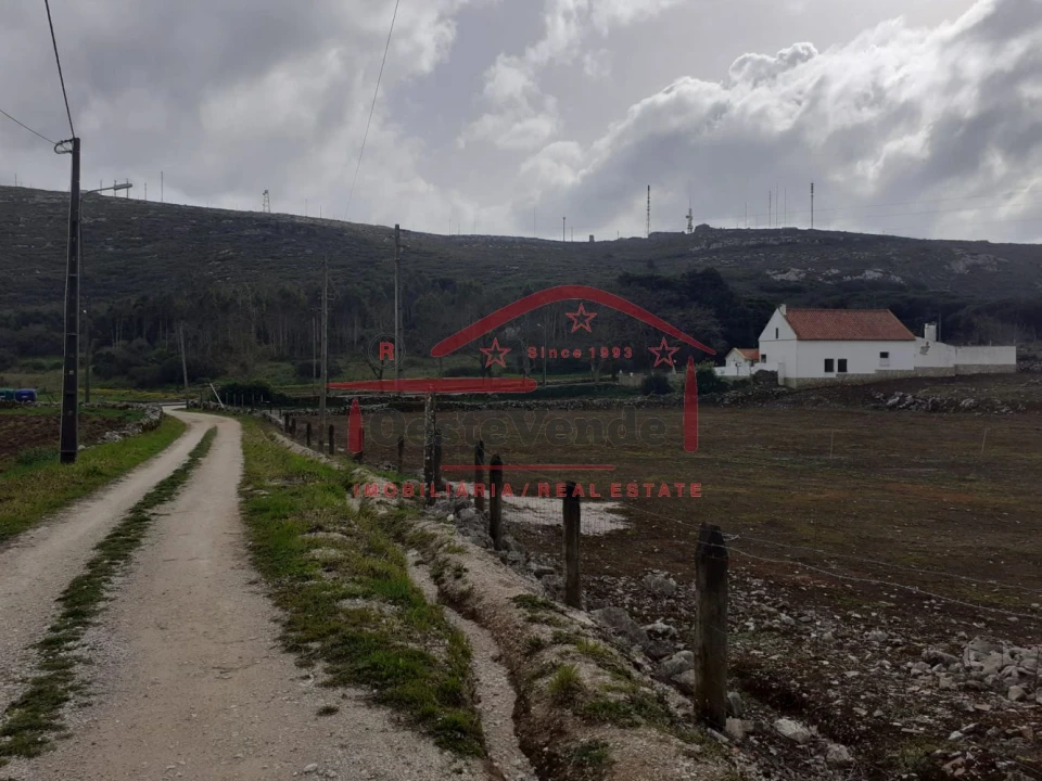 Terreno para Venda em Peral Foto 15