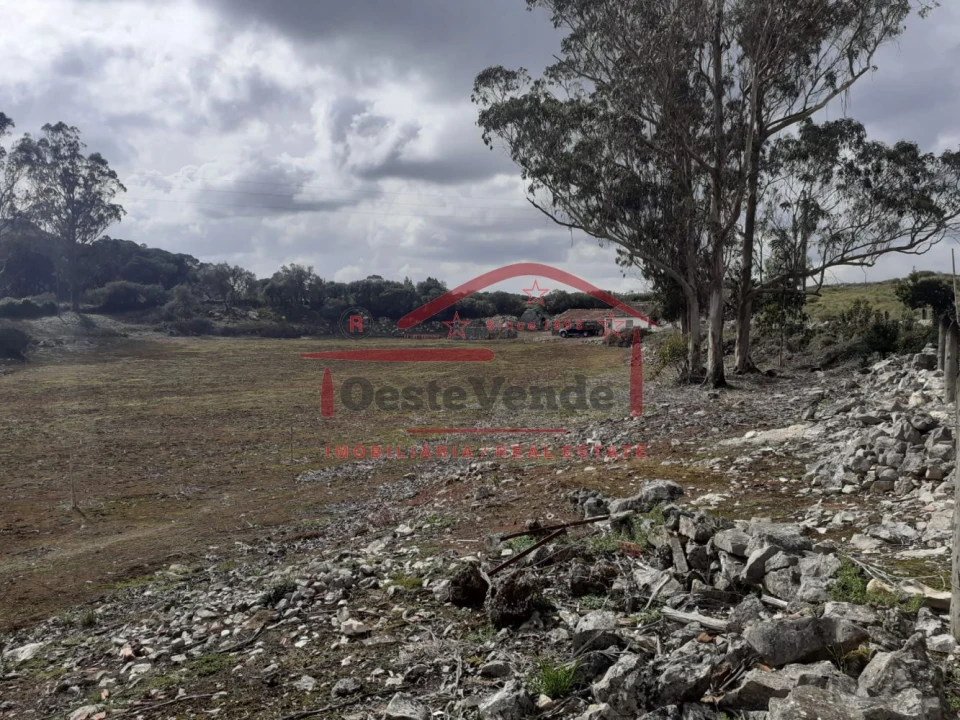 Terreno para Venda em Peral Foto 10