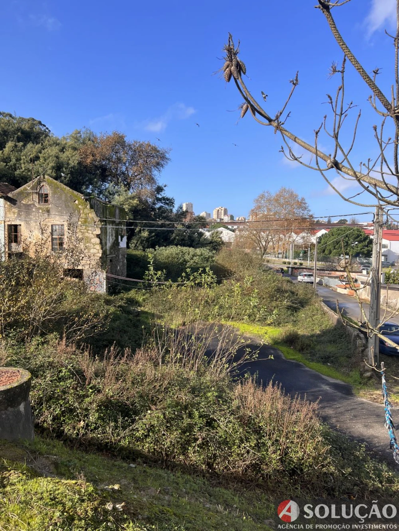 Terreno para Venda em Santa Marinha e São Pedro da Afurada Foto 5
