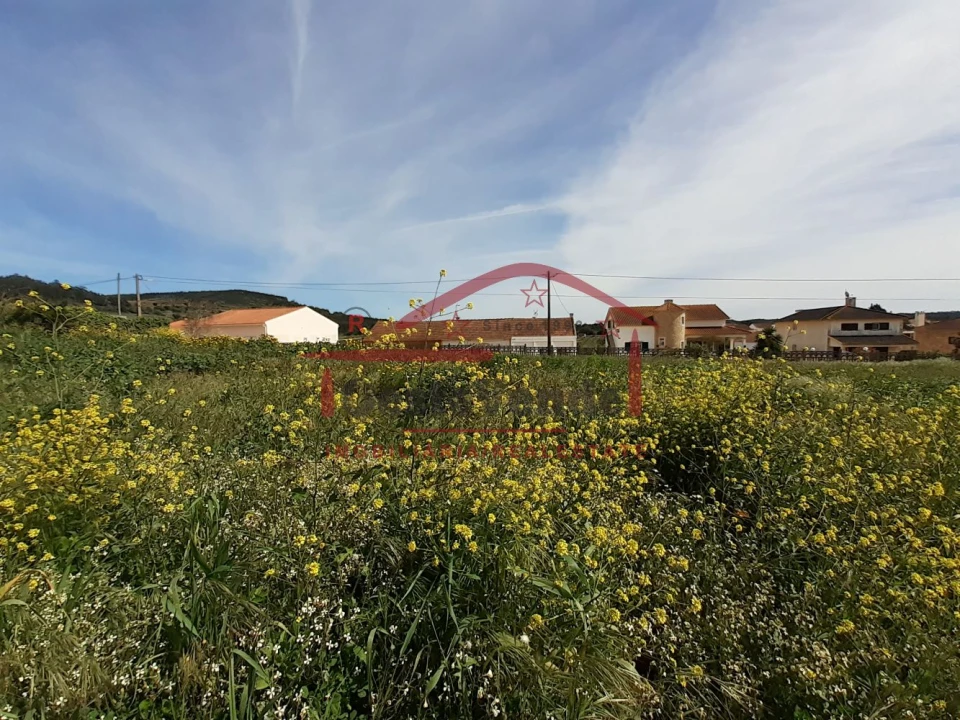 Moradia T2 para Venda em Peral Foto 33