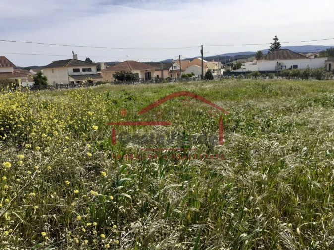 Moradia T2 para Venda em Peral Foto 31