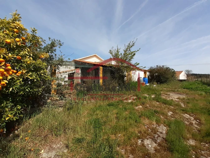 Moradia T2 para Venda em Peral Foto 21