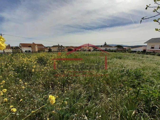 Moradia T2 para Venda em Peral Foto 30