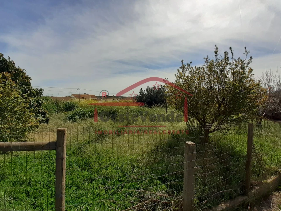 Moradia T2 para Venda em Peral Foto 29