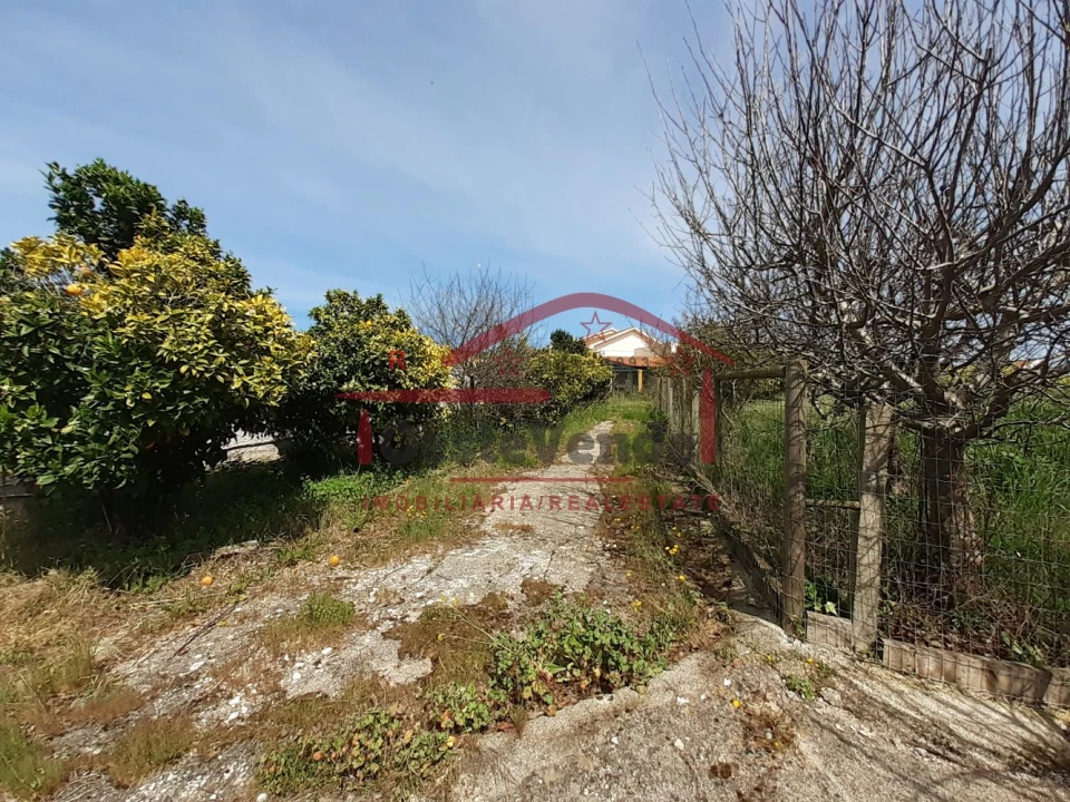 Moradia T2 para Venda em Peral Foto 20