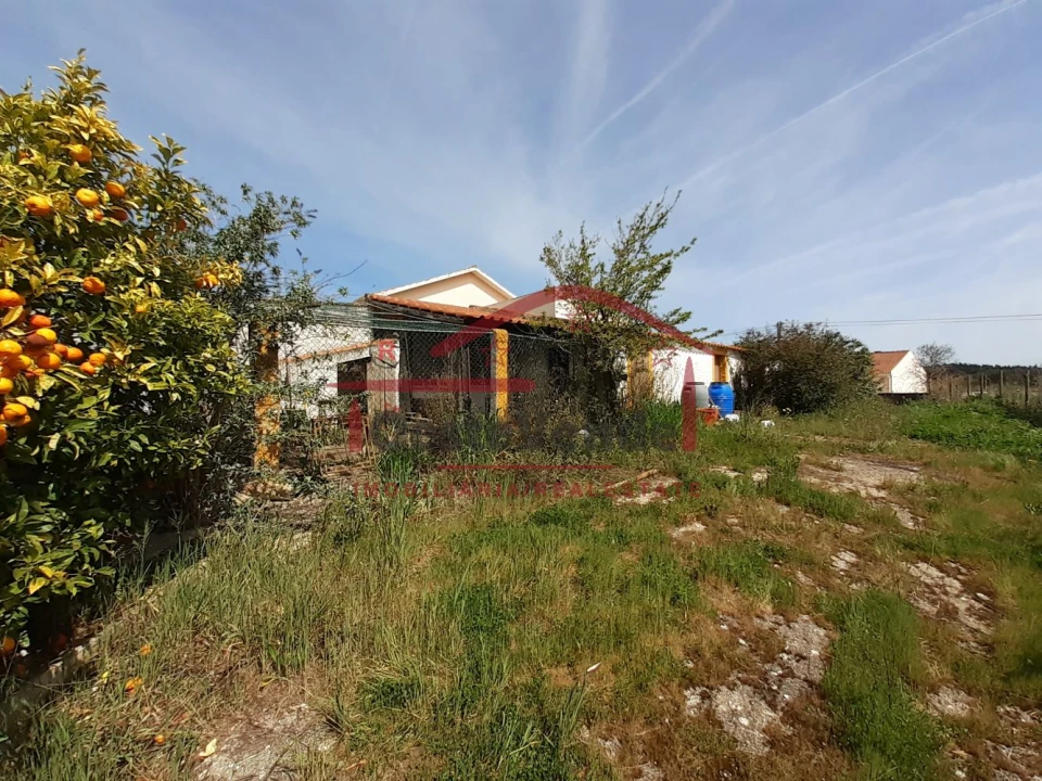 Moradia T2 para Venda em Peral Foto 21