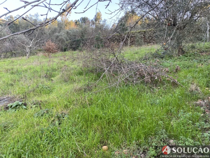 Moradia T4 para Venda em Resende Foto 31