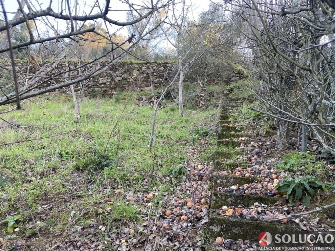 Moradia T4 para Venda em Resende Foto 30