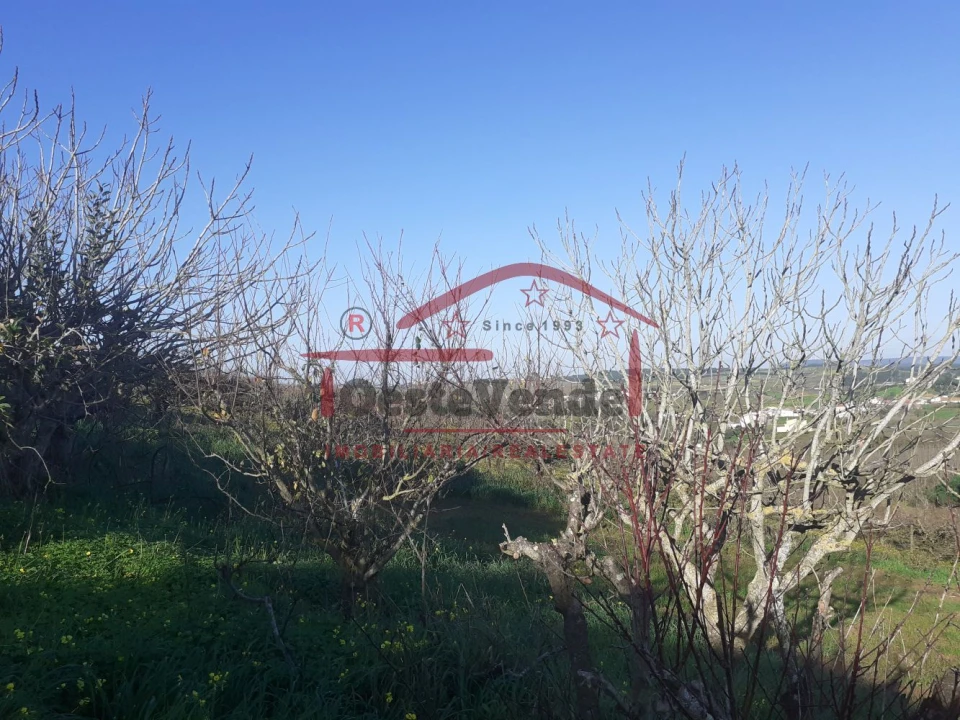 Moradia T2 para Venda em Peral Foto 51