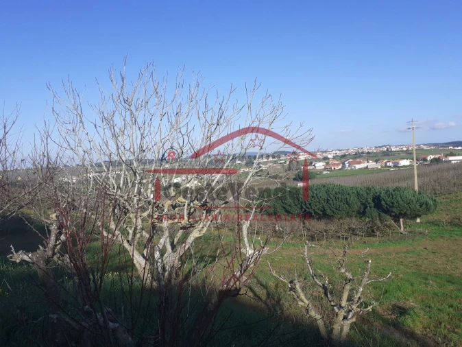 Moradia T2 para Venda em Peral Foto 52