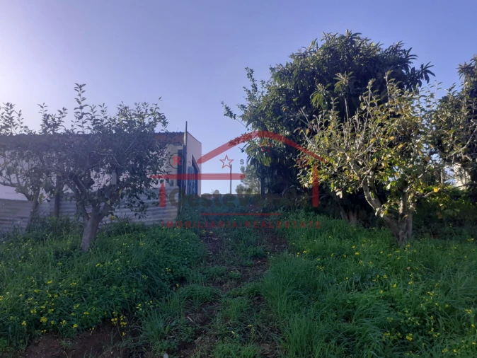 Moradia T2 para Venda em Peral Foto 44