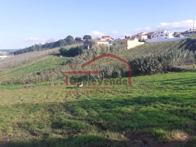 Moradia T2 para Venda em Peral Foto 46