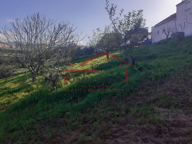 Moradia T2 para Venda em Peral Foto 48