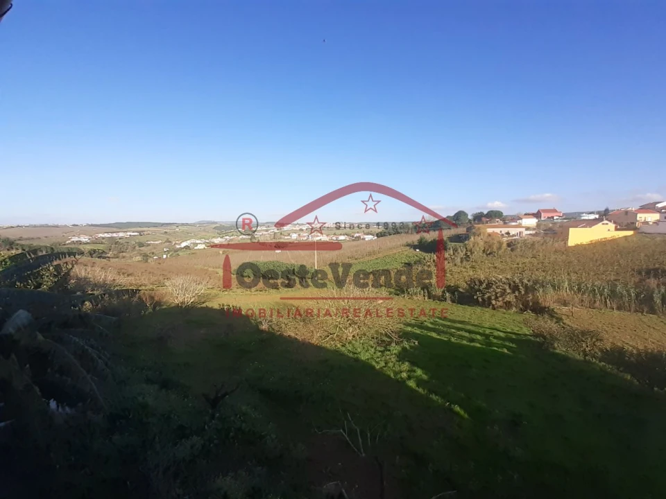 Moradia T2 para Venda em Peral Foto 42