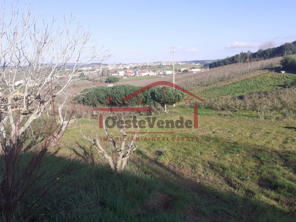 Moradia T2 para Venda em Peral Foto 45