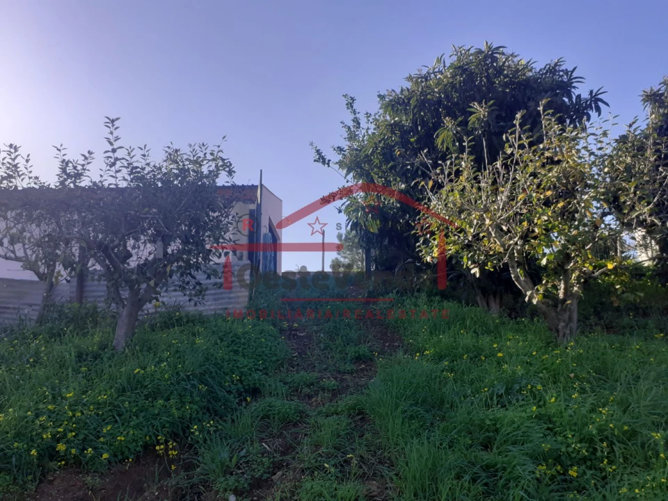 Moradia T2 para Venda em Peral Foto 44