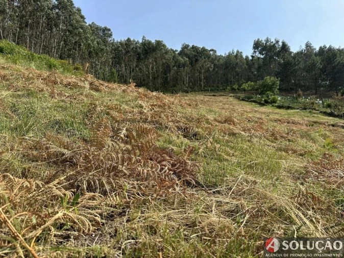 Terreno para Venda em Roriz Foto 6