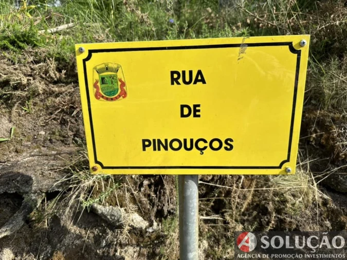 Terreno para Venda em Roriz