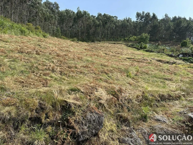Terreno para Venda em Roriz Foto 3