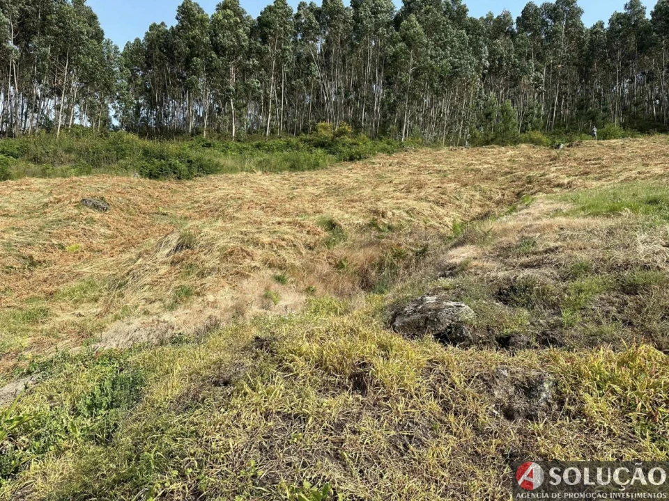 Terreno para Venda em Roriz Foto 5