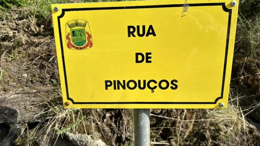 Terreno para Venda em Roriz