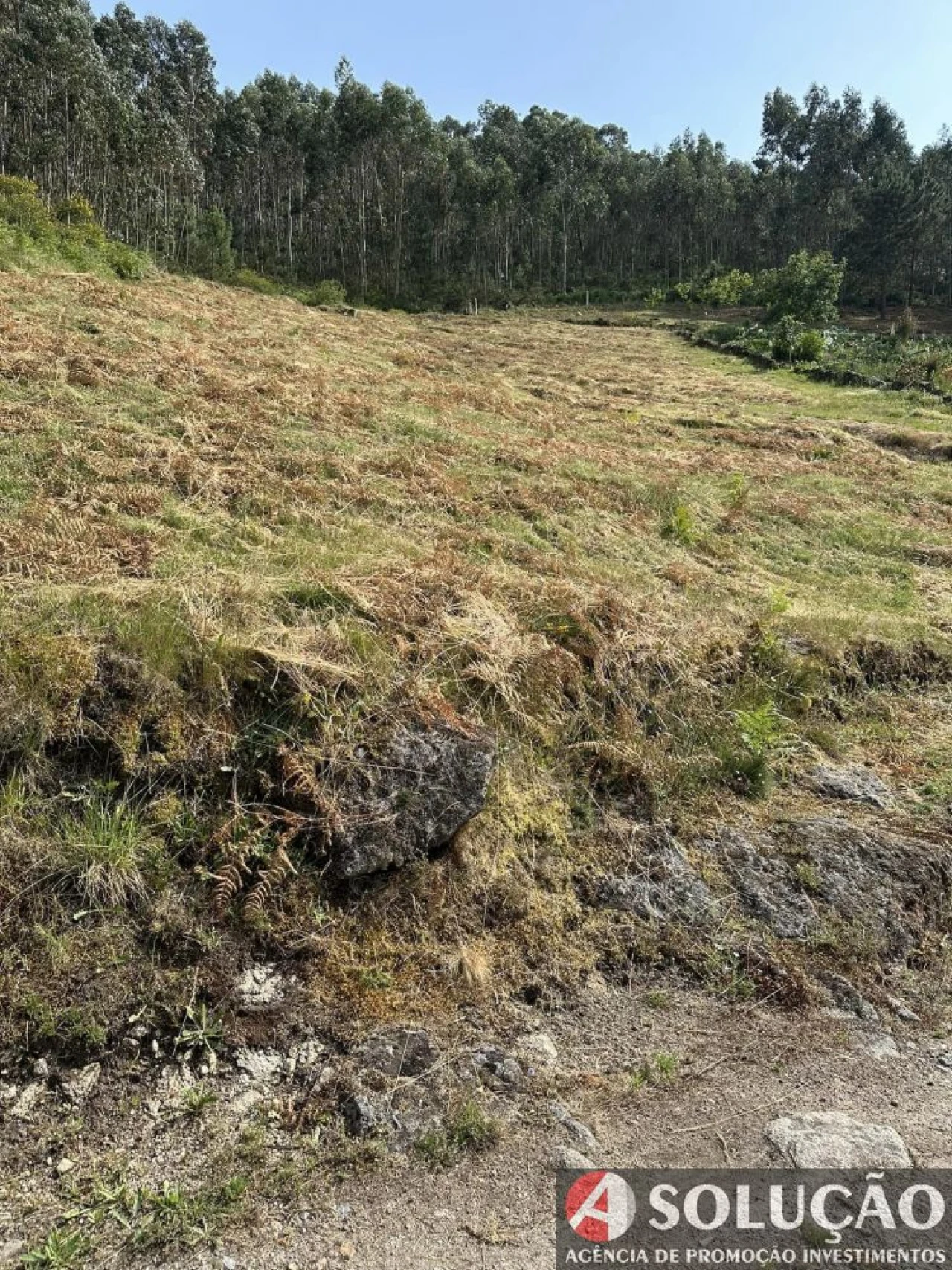 Terreno para Venda em Roriz Foto 4