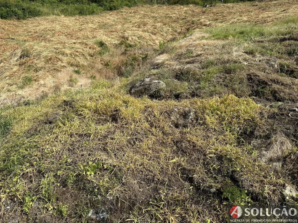 Terreno para Venda em Roriz Foto 7