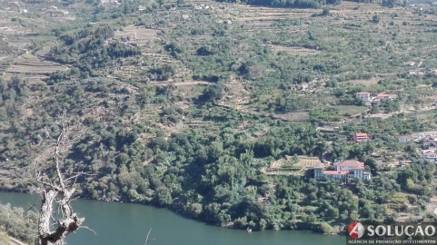 Terreno para Venda em São Martinho de Mouros