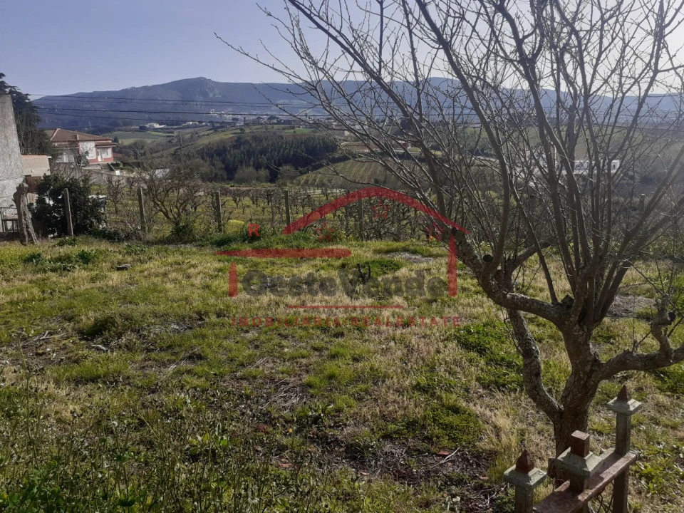 Moradia T4 para Venda em Cadaval e Pêro Moniz Foto 33