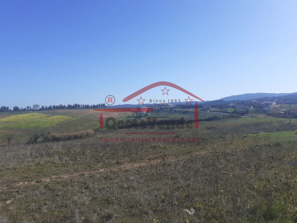 Moradia T4 para Venda em Cadaval e Pêro Moniz Foto 40