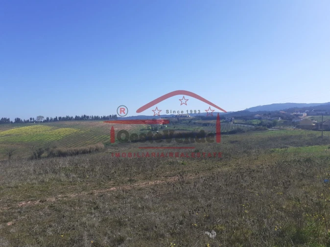 Moradia T4 para Venda em Cadaval e Pêro Moniz Foto 40