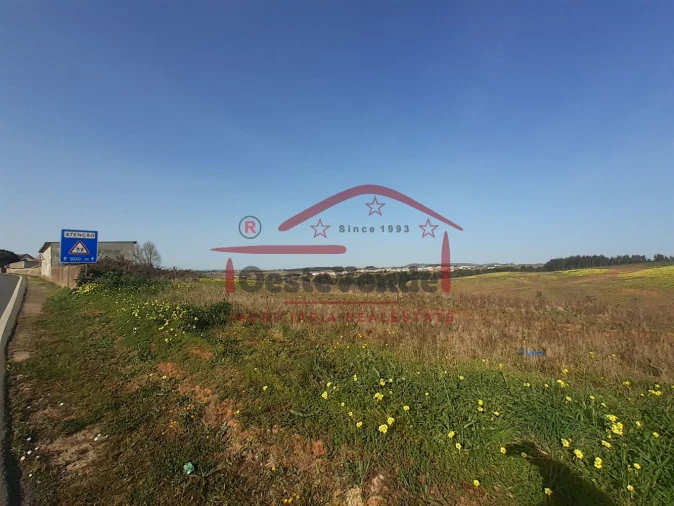 Moradia T4 para Venda em Cadaval e Pêro Moniz Foto 37