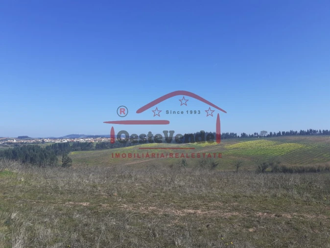 Moradia T4 para Venda em Cadaval e Pêro Moniz Foto 39