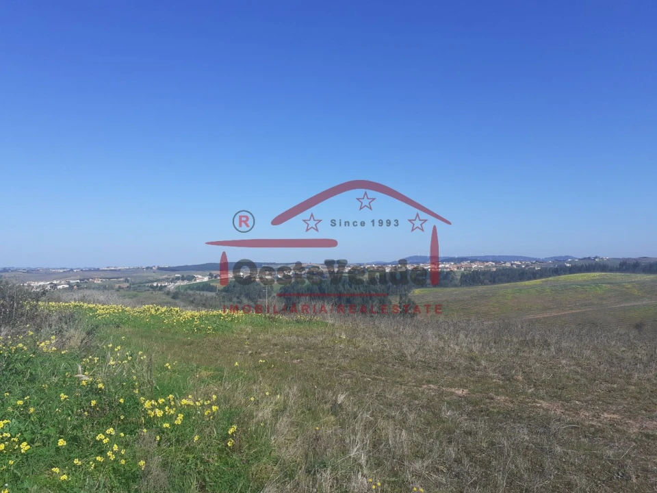 Moradia T4 para Venda em Cadaval e Pêro Moniz Foto 38