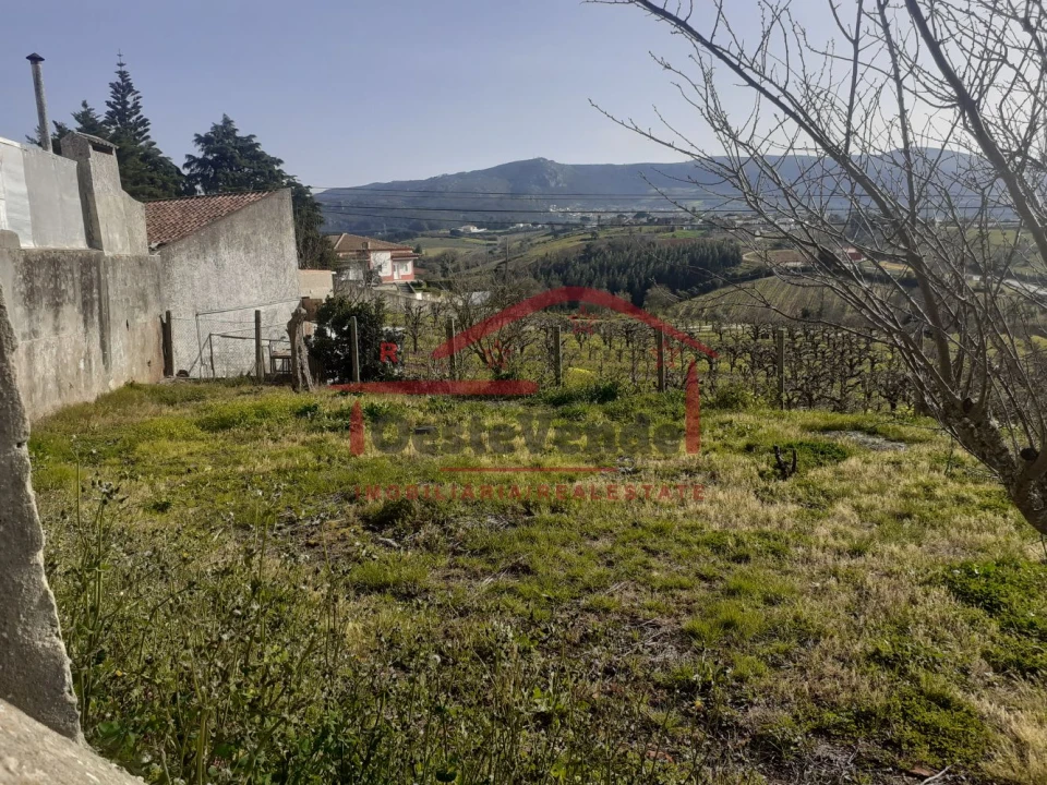 Moradia T4 para Venda em Cadaval e Pêro Moniz Foto 34